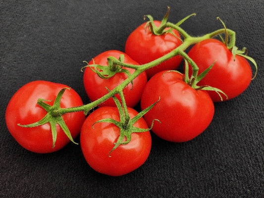 Erntezeit