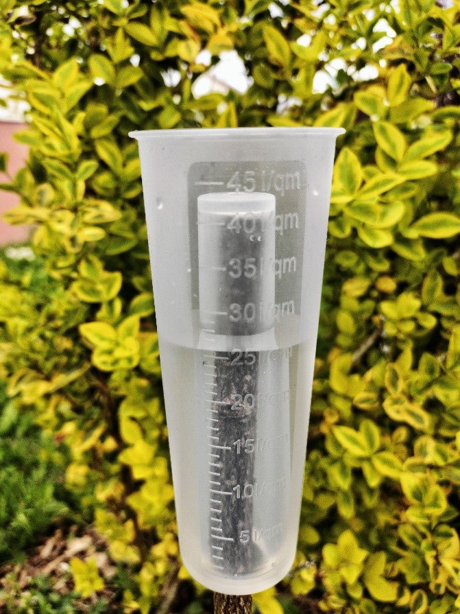 Forena ist 2025 auf der IPM