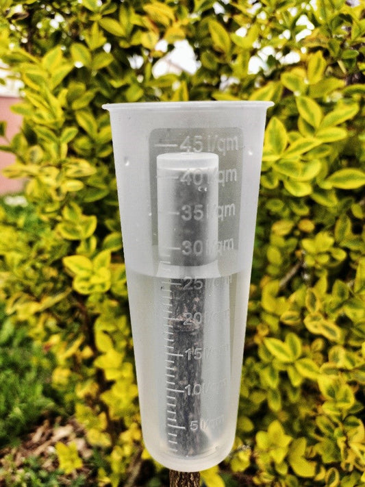 Forena ist 2025 auf der IPM