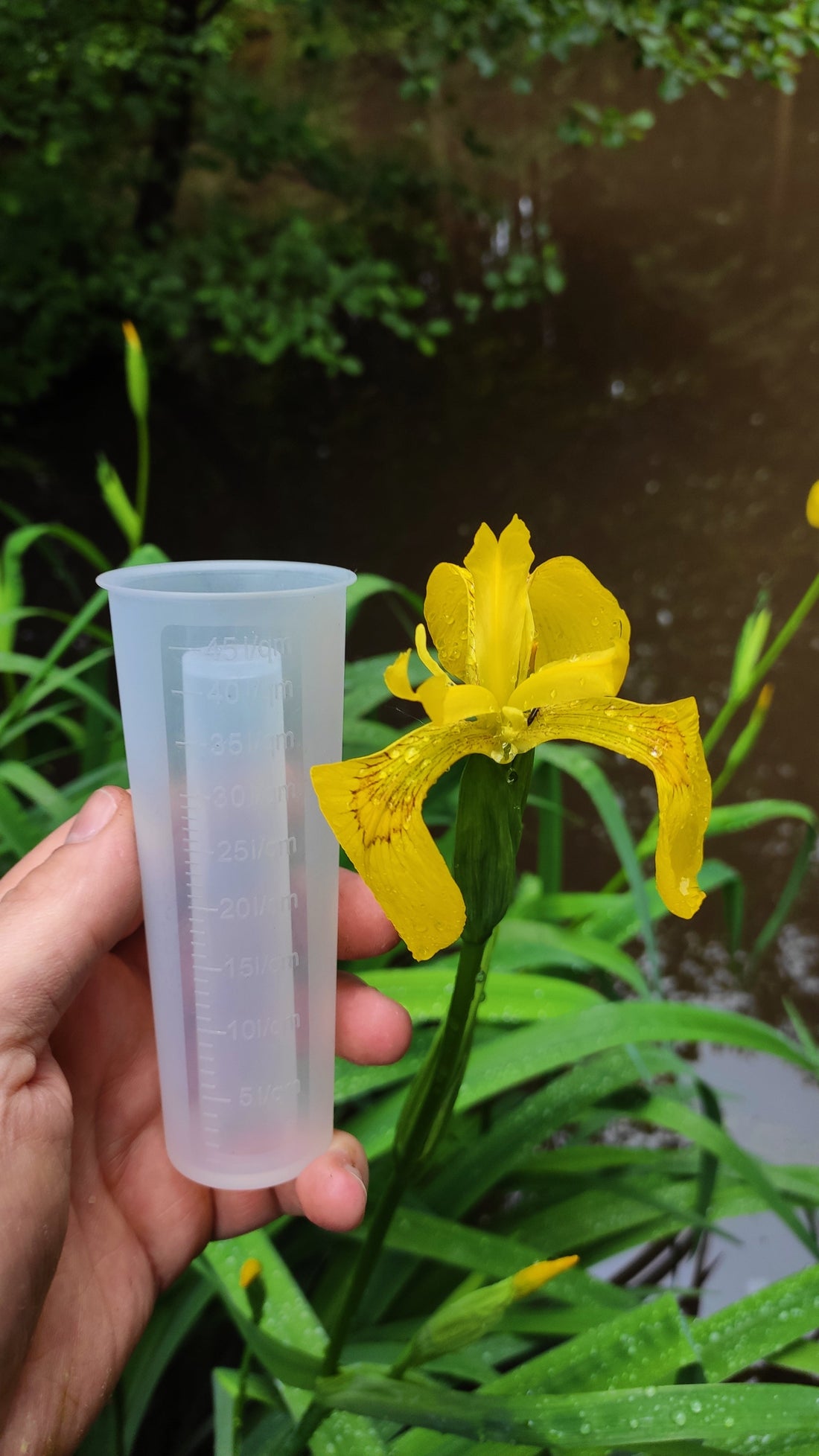 Dein moderner Regenmesser