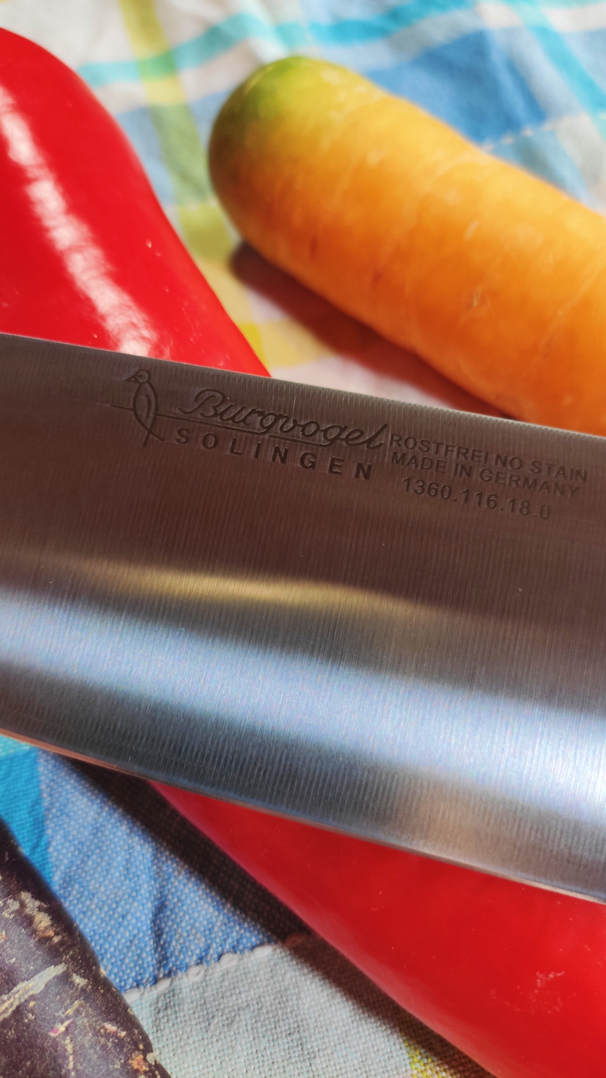 Santokumesser_mit_Olivenholzgriff3