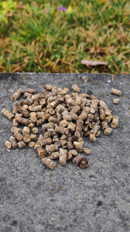 Sheep's wool pellets