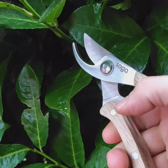 Gartenmesser Sogo Video