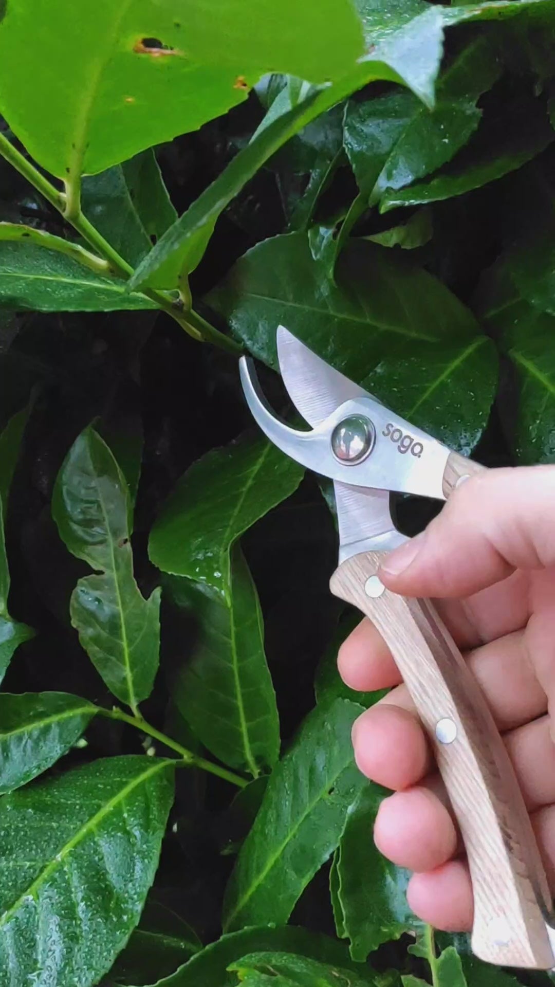 Gartenmesser Sogo Video