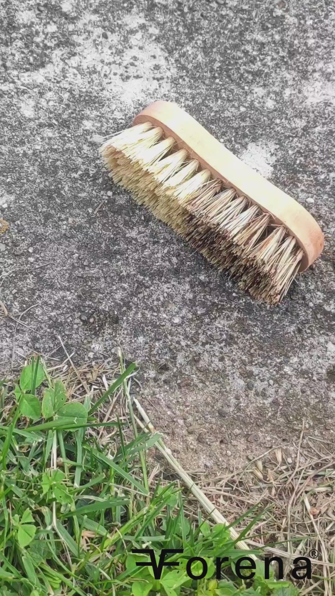 Kleine Gemuesebuerste im Einsatz mit Logo & Sound