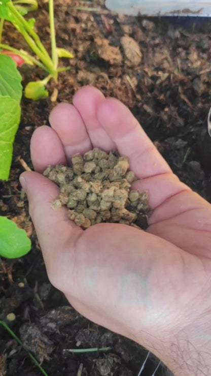 Schafwollpellets im Einsatz mit Logo und Sounnd